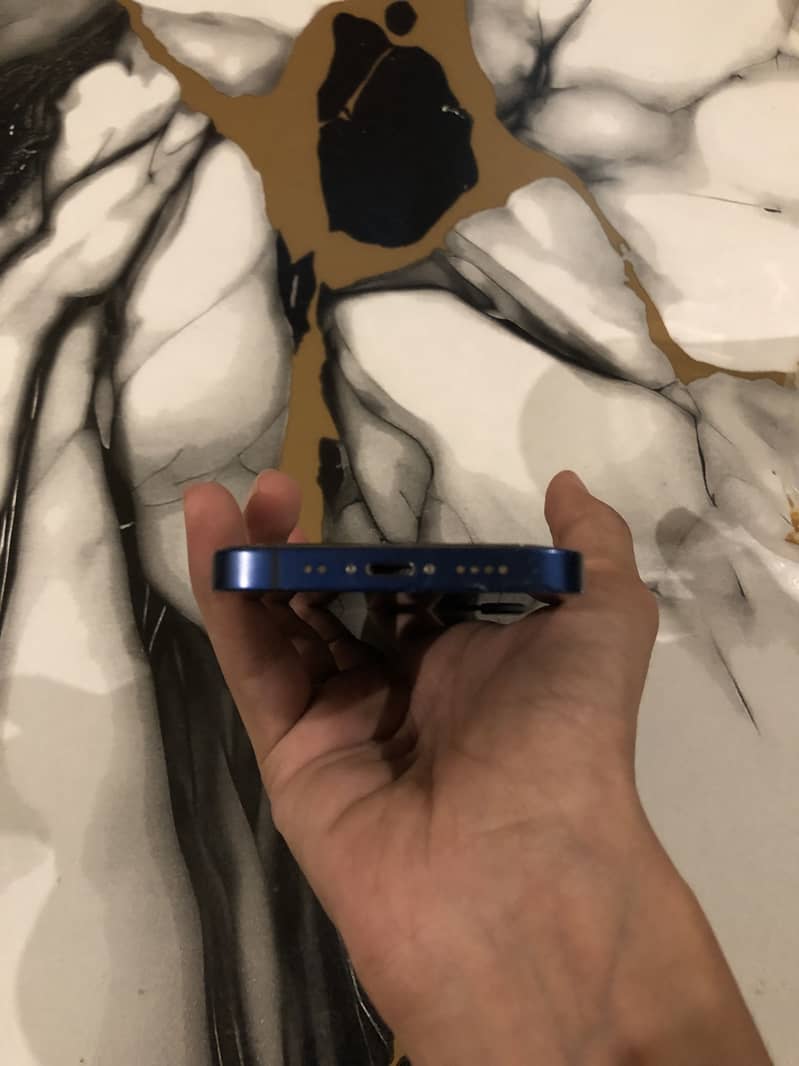 iPhone 12 mini 4