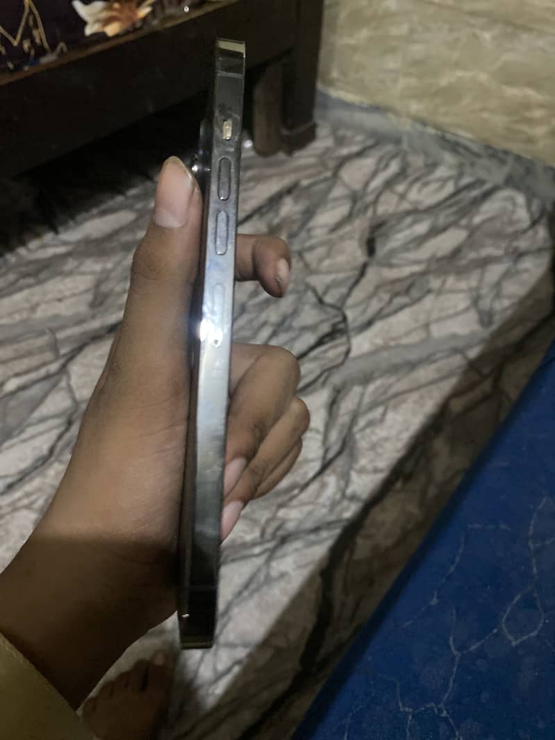 Apple iPhone 13 Pro Max 1