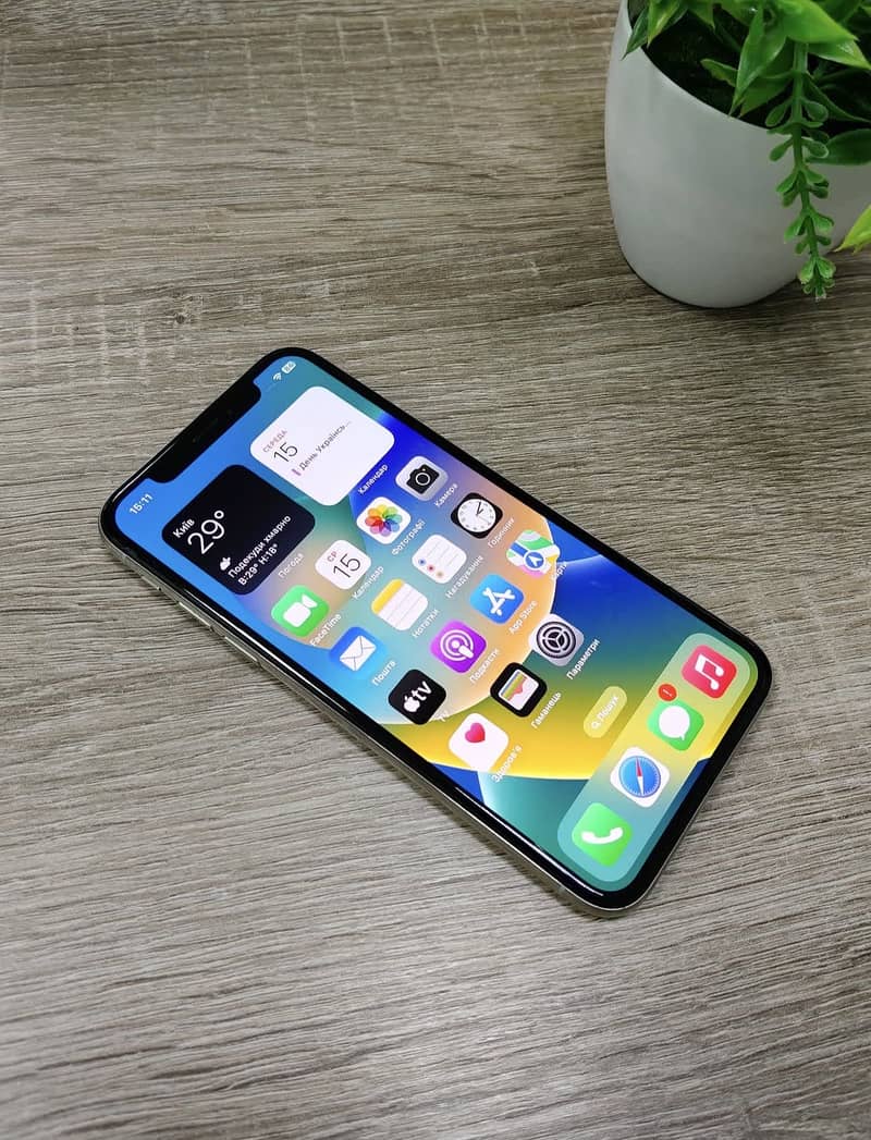 Apple iPhone X 1