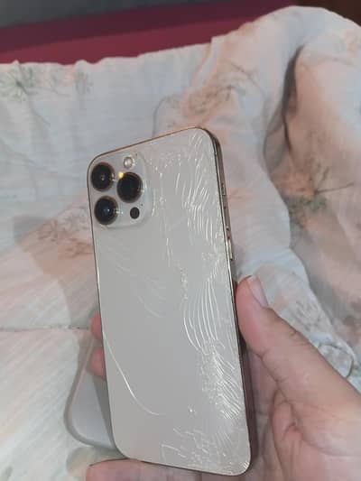 Apple iPhone 13 Pro Max