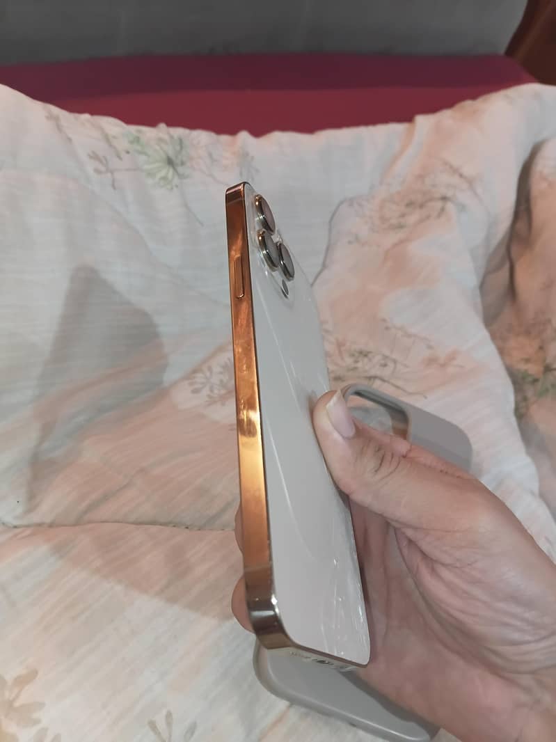Apple iPhone 13 Pro Max 1