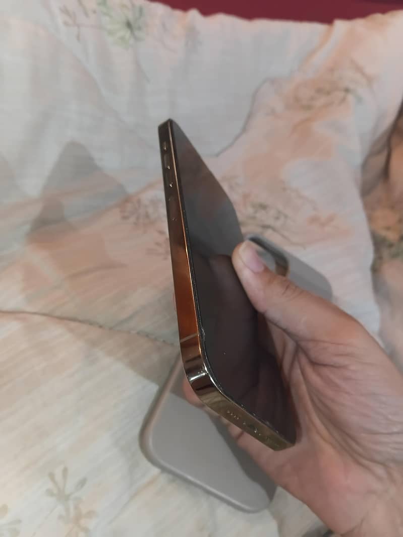 Apple iPhone 13 Pro Max 2