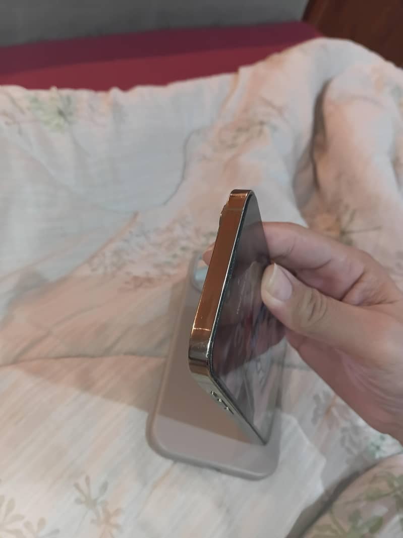 Apple iPhone 13 Pro Max 3