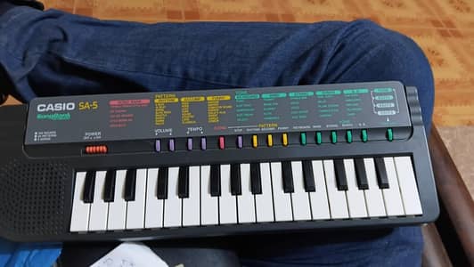 19 key piano