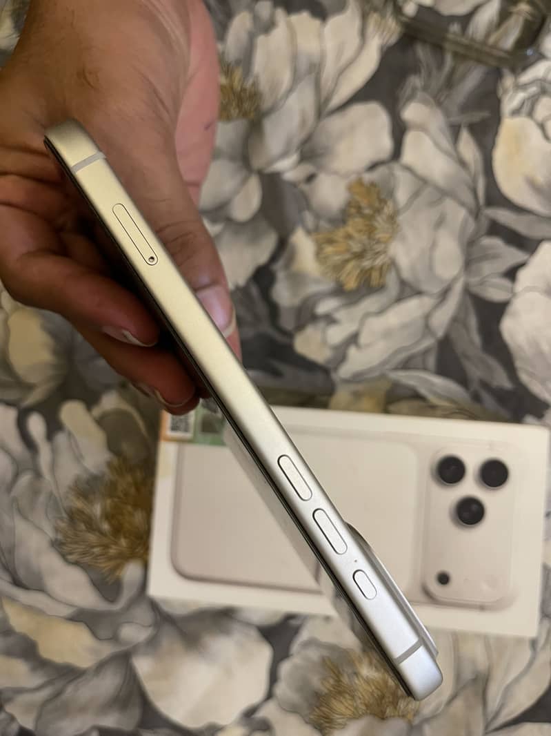 Apple iPhone 17 Pro Max 3