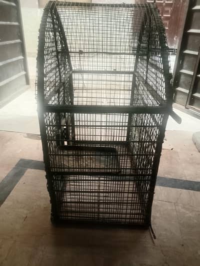 parrot cage