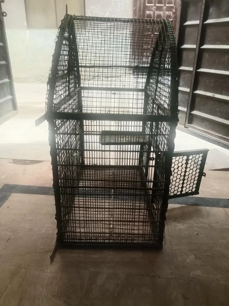 parrot cage — photo 3