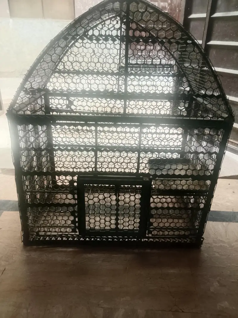 parrot cage — photo 4