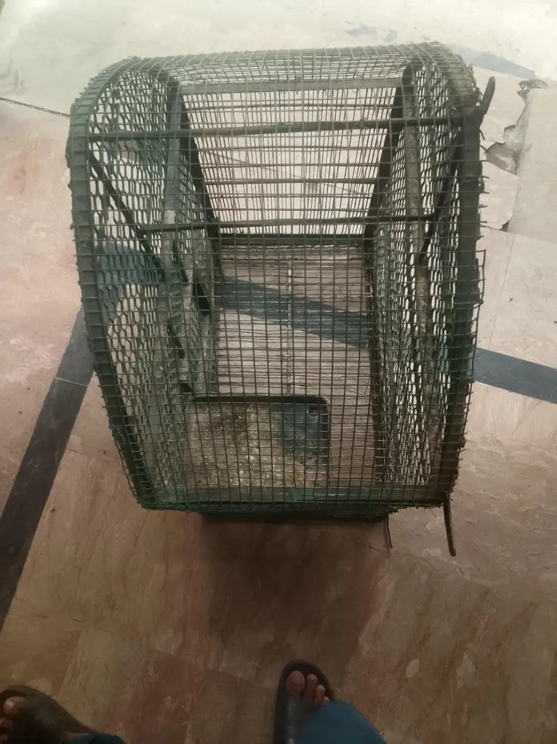 parrot cage — photo 5