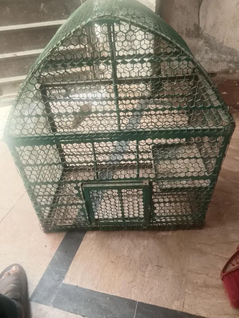 parrot cage — photo 6