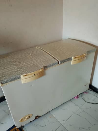 Waves Double Door Freezer