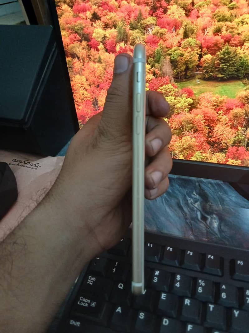 Apple iPhone 7 Plus 4