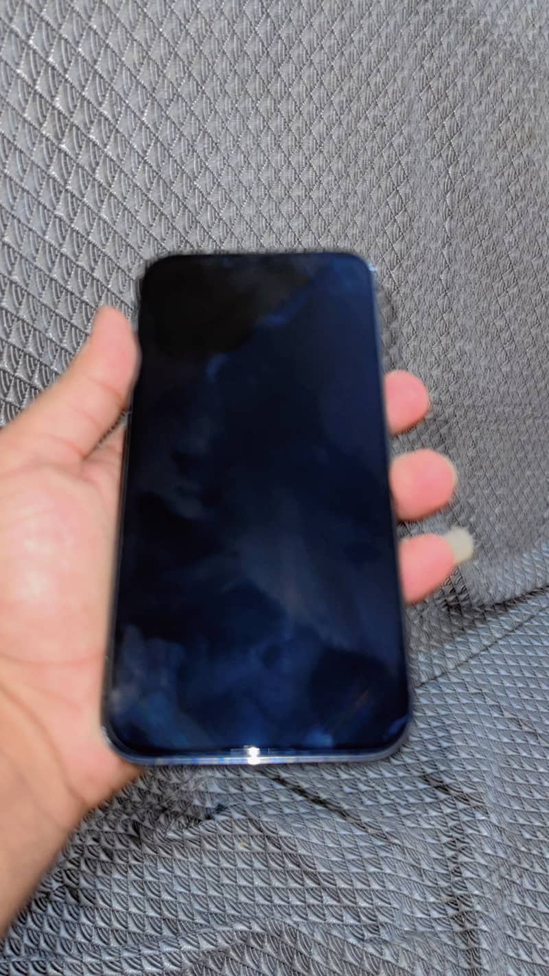 Apple iPhone 13 Pro Max 1