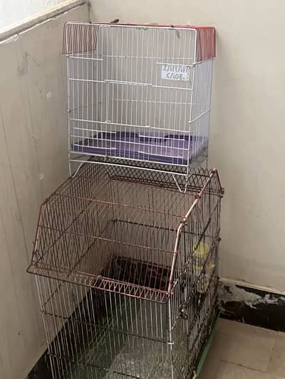 Cage for sale