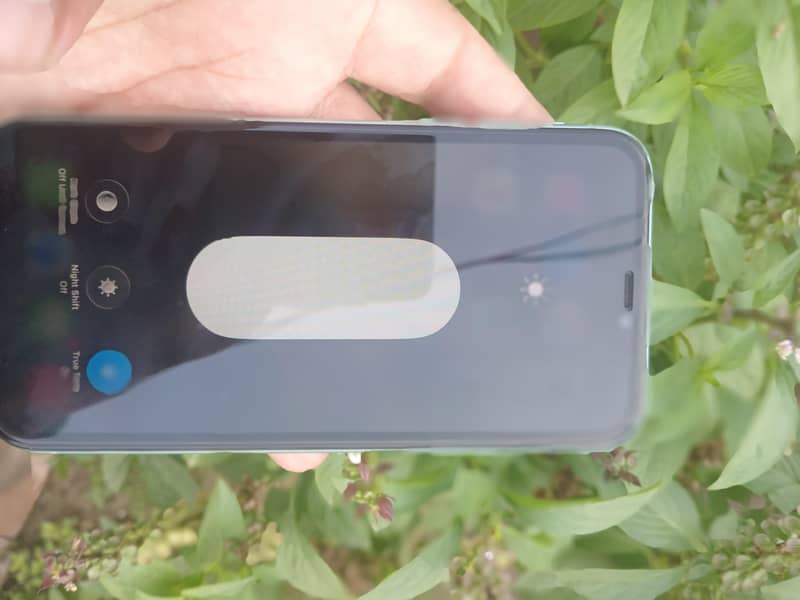 Apple iPhone 11 0