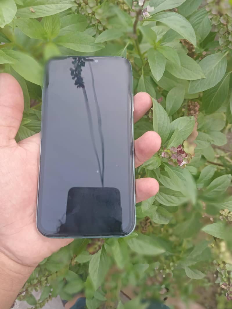 Apple iPhone 11 1