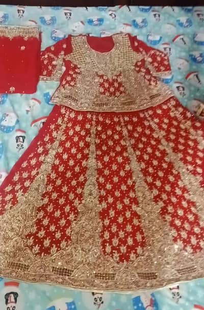 Lenga for sale