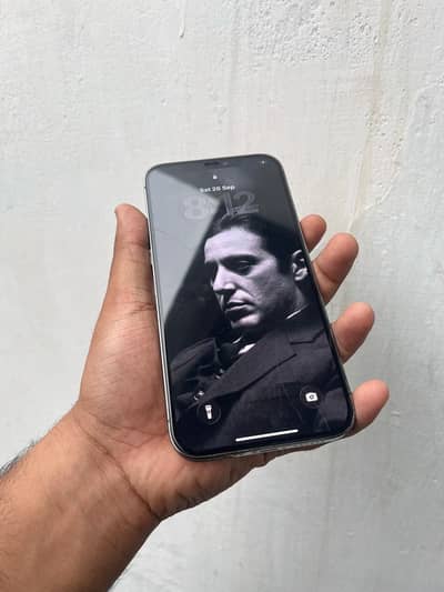 Apple iPhone 12 Pro Max