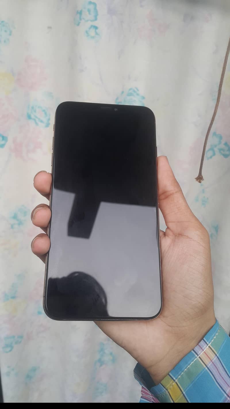 Apple iPhone XS Max 1