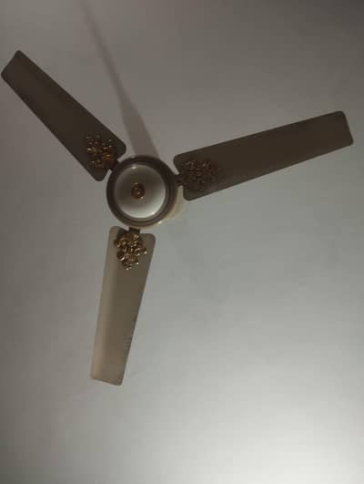 Royal Fan Platinum series