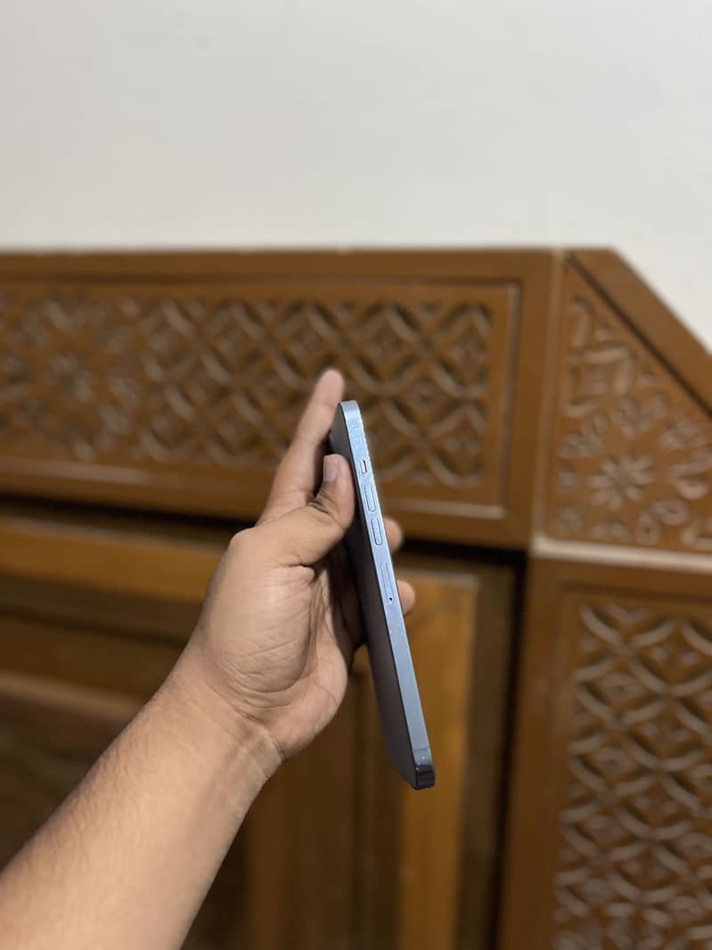 Apple iPhone 13 Pro Max 1