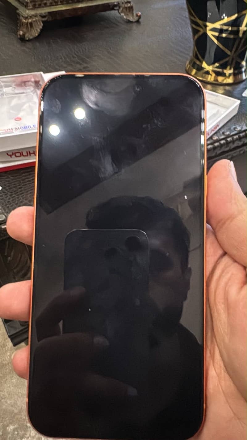Apple iPhone 17 Pro Max 3