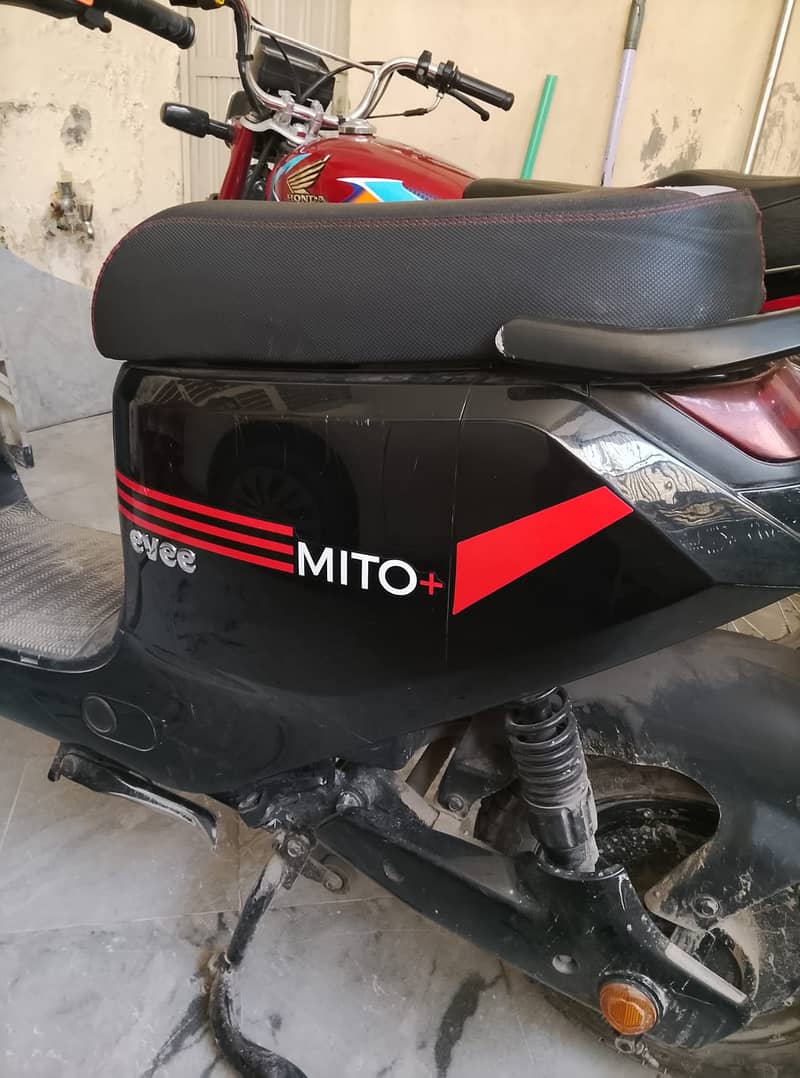 Evee Mito plus 11