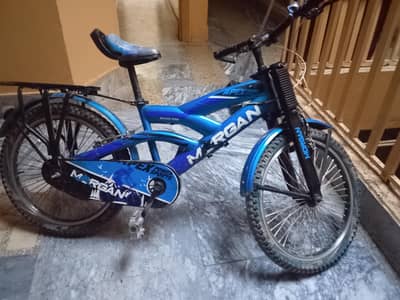 bye cycle