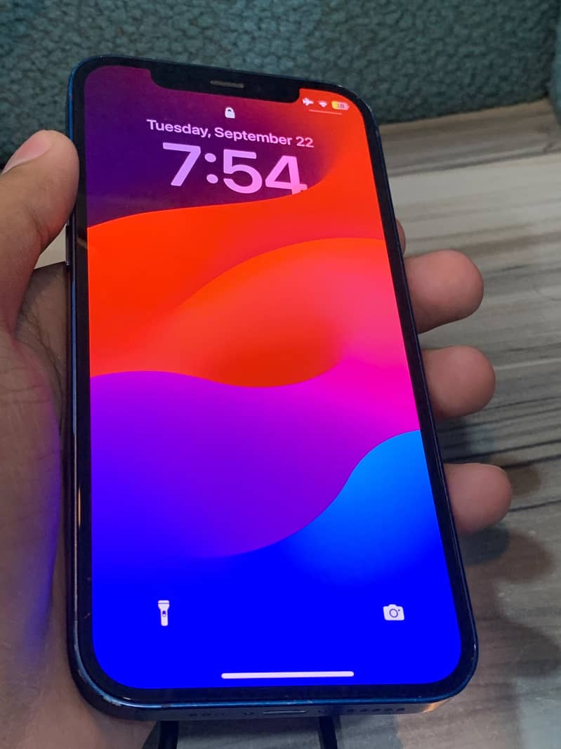 Apple iPhone 12 1