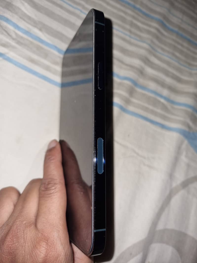 Apple iPhone 12 Pro Max 2