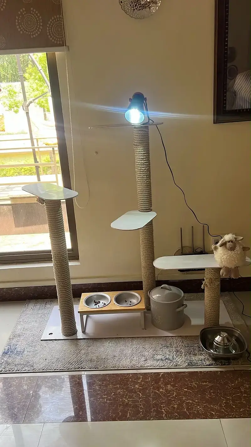 Different kind of pet accessories — photo 5