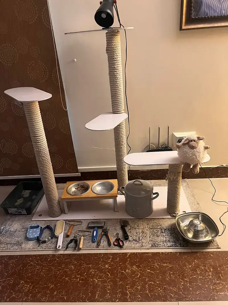 Different kind of pet accessories — photo 8