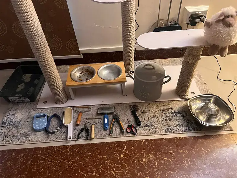 Different kind of pet accessories — photo 10