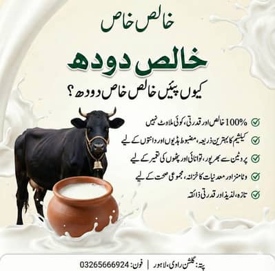 pure milk