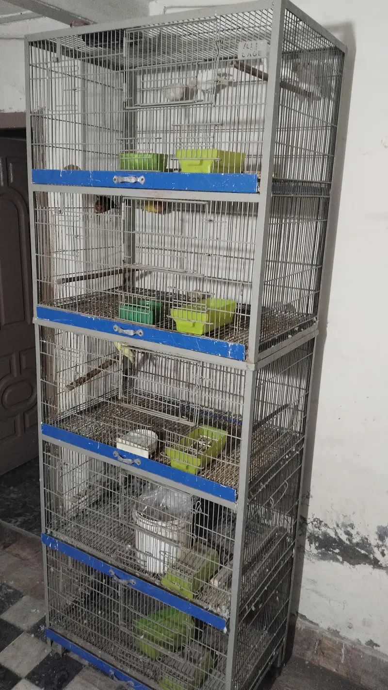 cage available for sale — photo 2