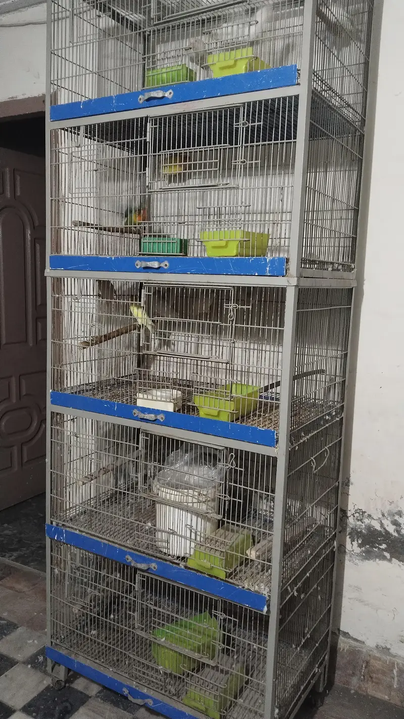 cage available for sale — photo 3