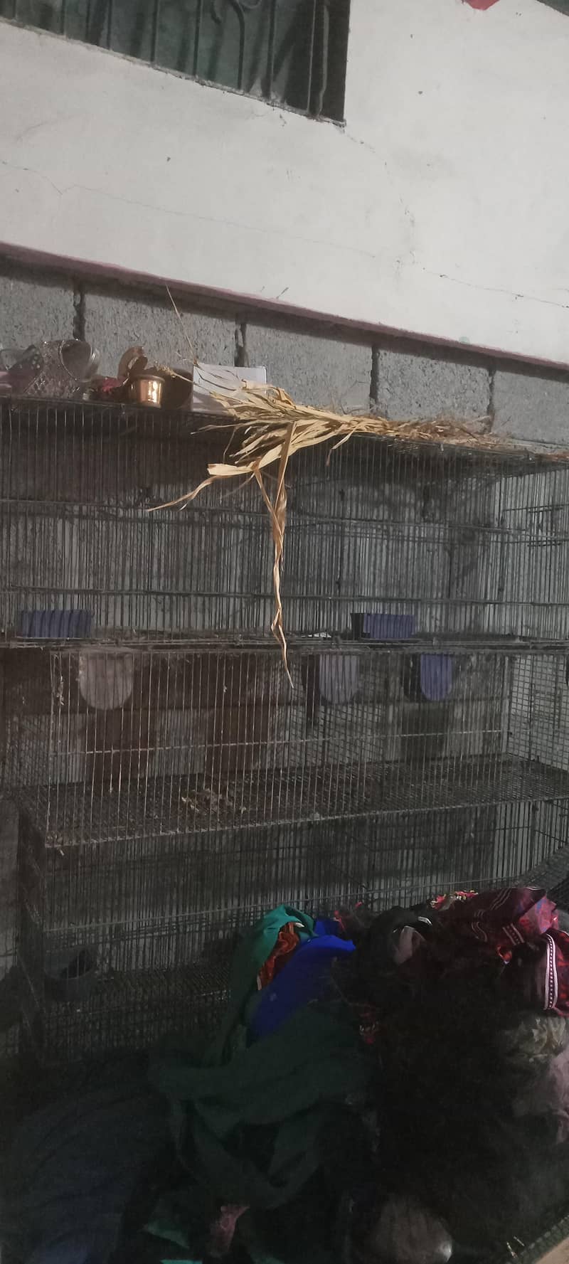 10 portion folding cage 2