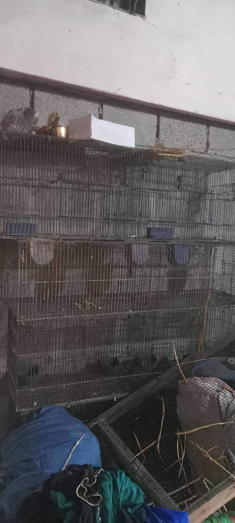 10 portion folding cage 3