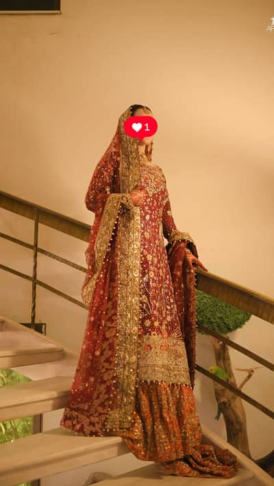 Bisma amir ( fta inspired dress)