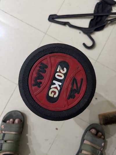 20kg Dumbbells Pair