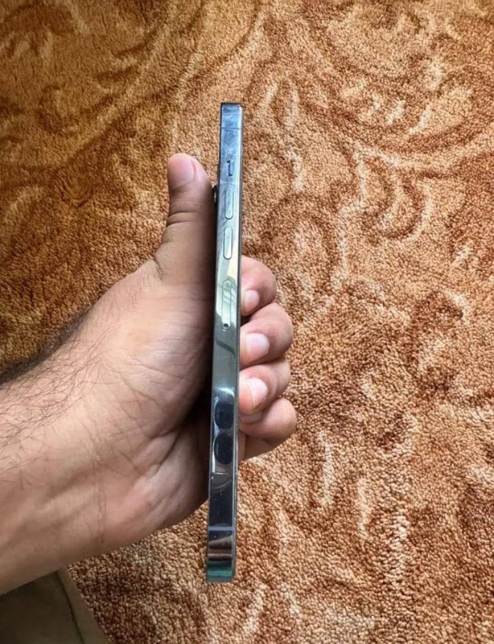 Apple iPhone 13 Pro Max 2