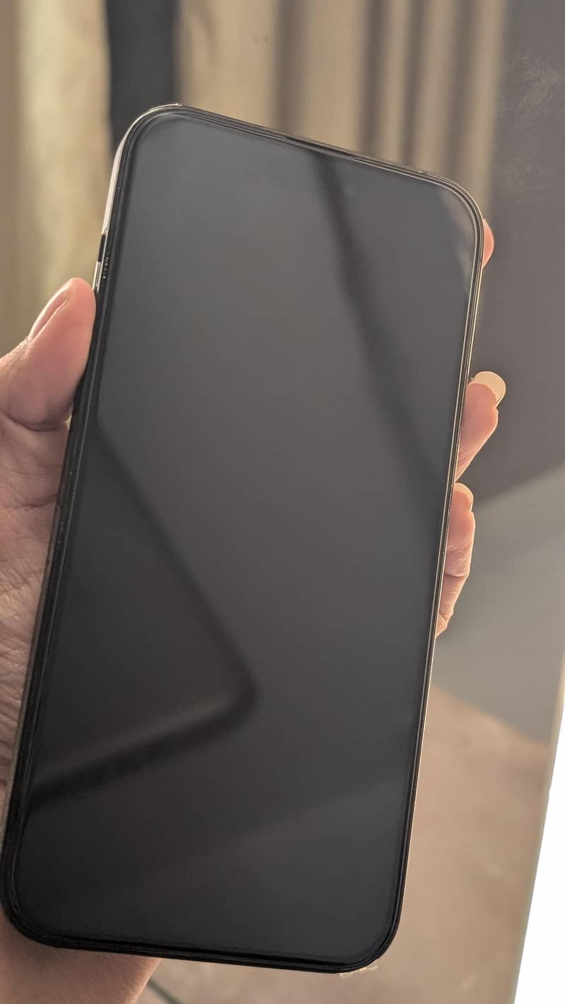 Apple iPhone 14 Pro Max 1