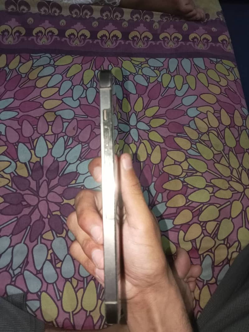 Apple iPhone 12 Pro Max 2