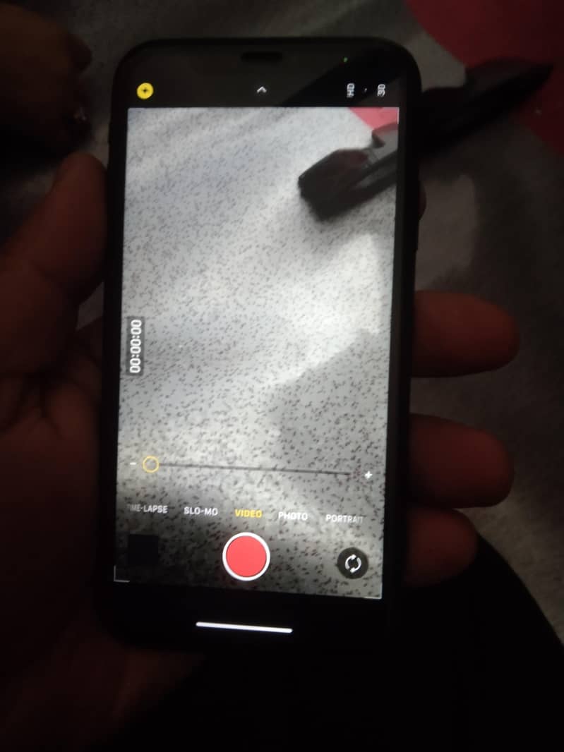 Apple iPhone XR 1