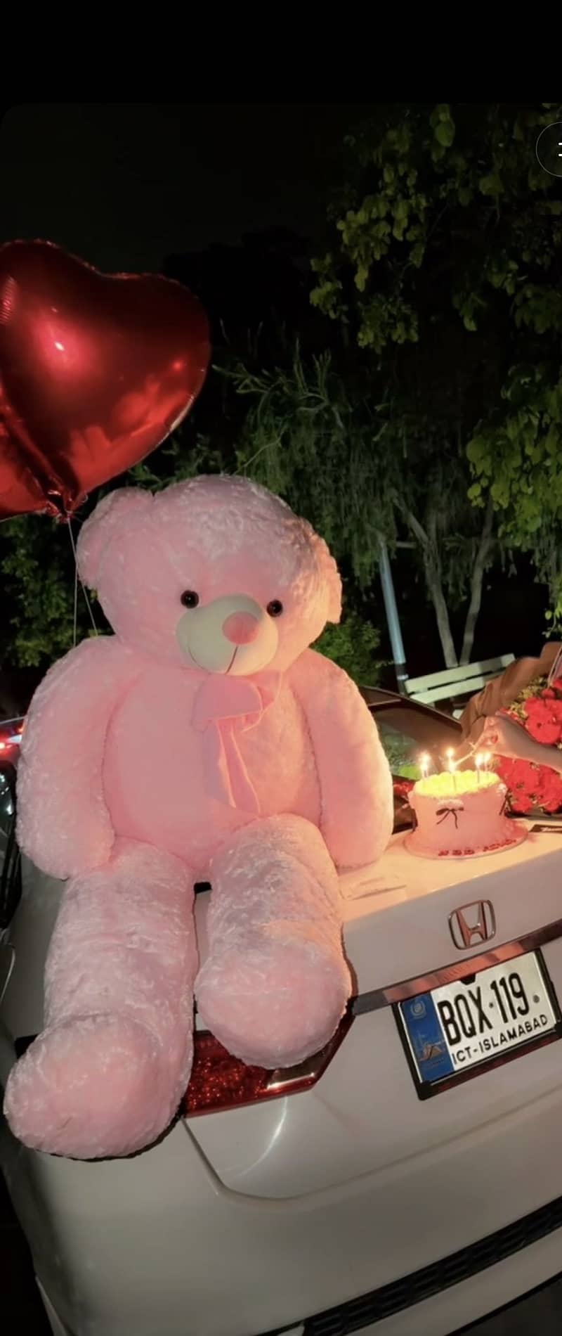 Teady bear 0