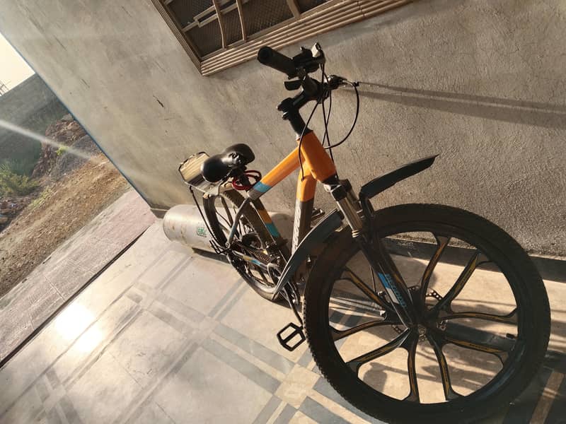 bicycle 2