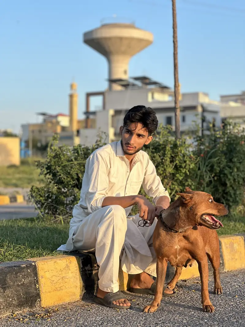 Pure Breed Female Pitbull Available for Sale - Active & Healthy — photo 4