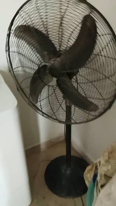 pedestal fan for sale