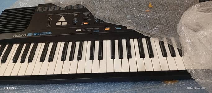 Roland E16 Professional Piano Yamaha PSR Keyboard Casio Korg