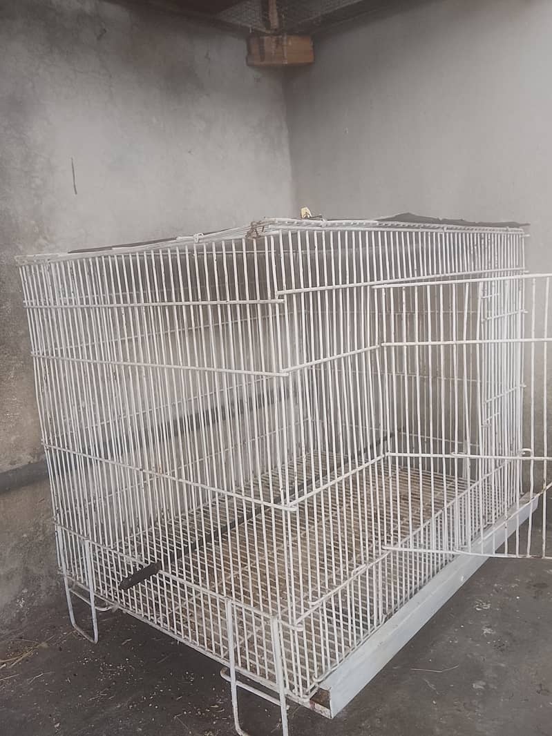 Parrot cage 1
